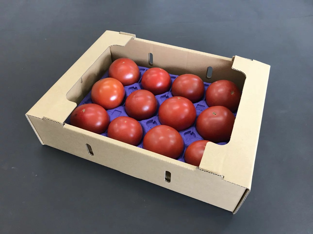 tomato01-a2kg