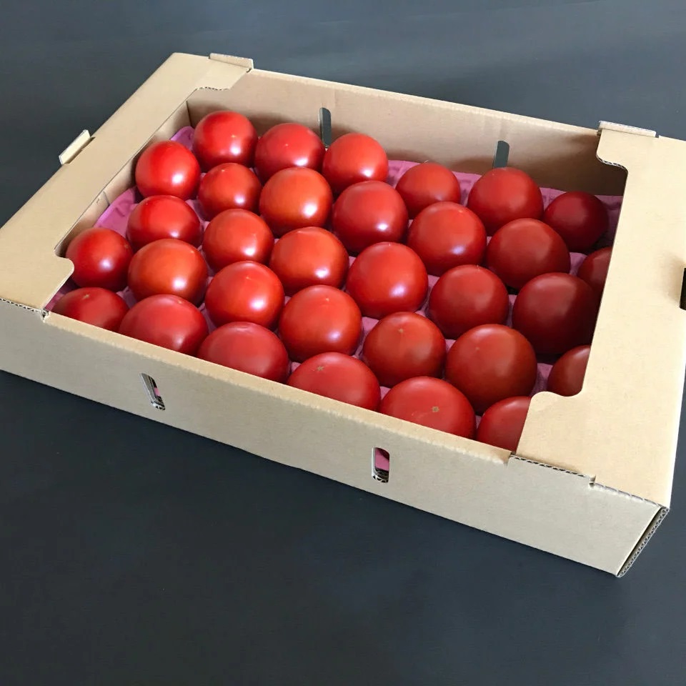 tomato01-a3kg