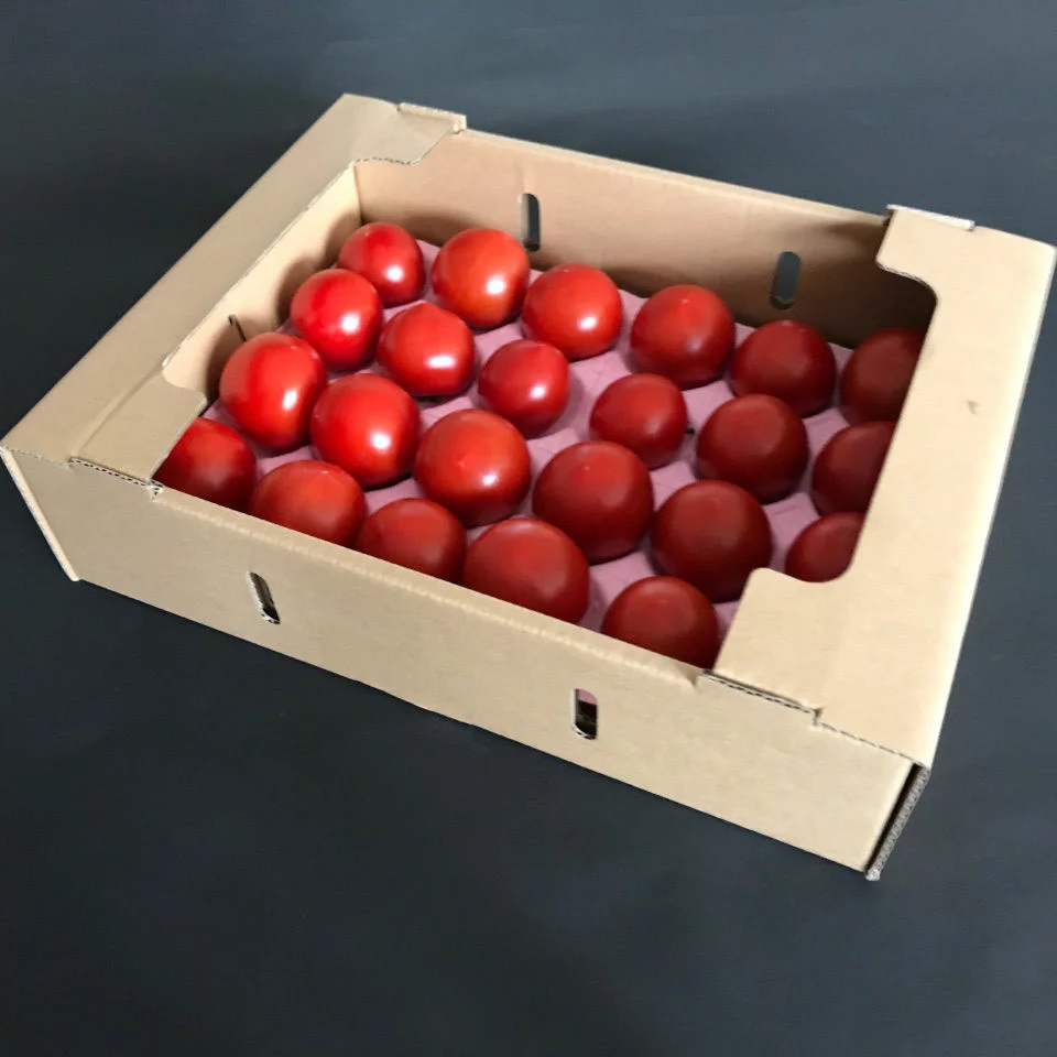 tomato01-b2kg